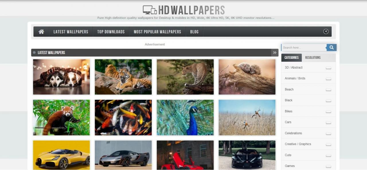 The Best Sites to Download 8K Wallpapers for Free