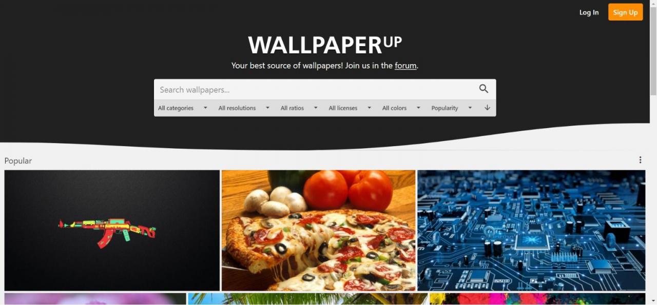 The Best Sites to Download 8K Wallpapers for Free